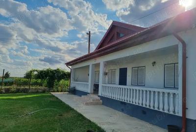 Vand proprietate - 3