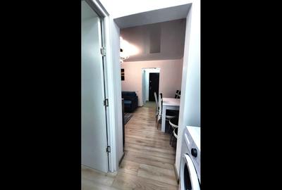 Apartament cu 2 camere semidecomandat, mobilat în Viziru 1 - 9