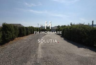 Complex industrial  cu teren 18,672 mp Târgu Lăpuș - 8