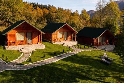 Casă individuală cu 4 camere cu Teren 2450 Mp în Valea Doftanei - 1
