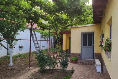 Casă cu 4 camere în Coiciu - 6