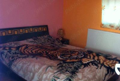 Casa 90 mp renovata complet cu 2650 mp pamant jude? Hunedoara - 3
