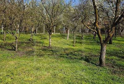 Casă individuală cu 3 camere cu Canalizare în Ceanu Mic - 2