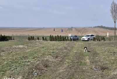 Casă cu 4 camere în Domnești-Târg - 7