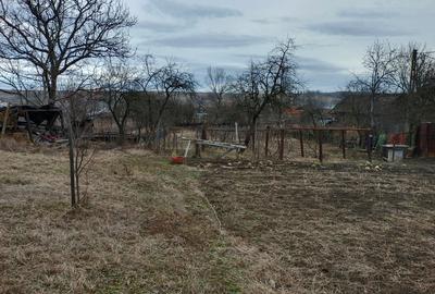 Casă cu 3 camere cu Teren 2394 Mp în Fărcășești - 2