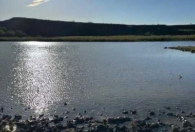 Teren de 131000 mp, în Piersica - 2