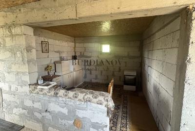 Casă individuală cu 3 camere cu Canalizare în Petru Rareș - 10