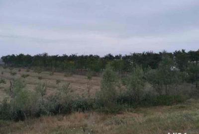 Casă cu 2 camere în Central - 5