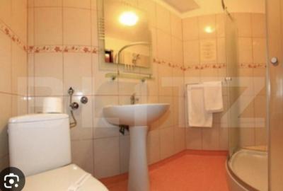 Pensiune 10 Camere pretabil si pentru Casa e Varstnici - 8