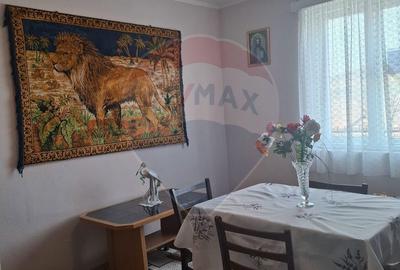 Casă cu 3 camere cu Teren 773 Mp în Târnava - 11