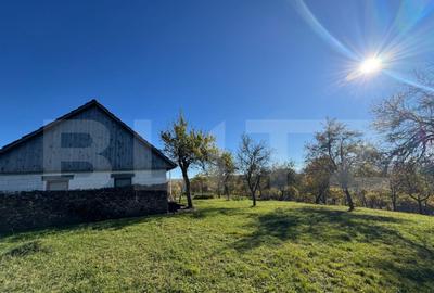 Teren extravilan 2000mp in Tarsa - 2