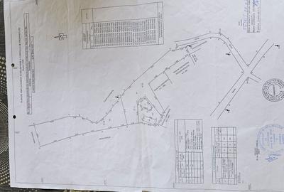 Spațiu comercial, în Râu Alb de Jos - 3