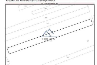 Teren intravilan 5.699 mp Baicule?ti, jud. Arge? - 4