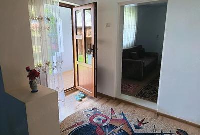 Casă cu Teren 10000 Mp în Bucșești - 3