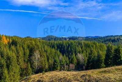 Teren de 13800 mp, în Fundățica - 1