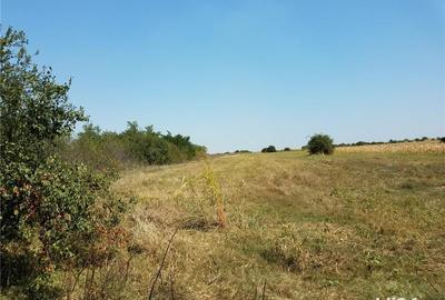 Teren de 1800 mp, în Letca Nouă - 7