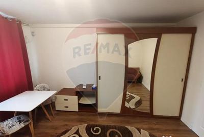 Garsonieră decomandată în Depozitelor - 6