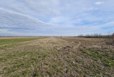 Teren de 2268 mp, în Potlogeni-Vale - 1