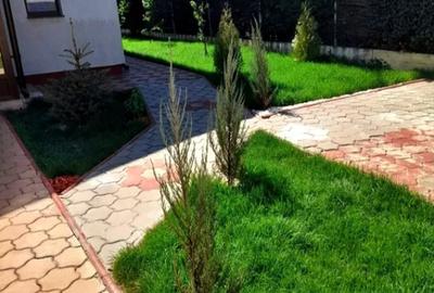 Com Berceni-Primarie-vila suprafata 120 mp-pret 131000 euro - 3