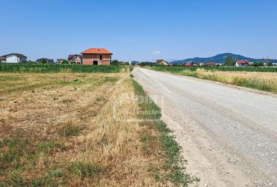 Teren Pretabil Investitie Harman - 7