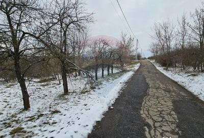 Teren de 10000 mp, în Rădășeni - 17