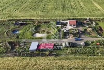 Farmhouse la 14km de Timisoara, teren agricol 1ha - 3