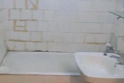 Apartament cu 2 camere semidecomandat în Tineretului - 2