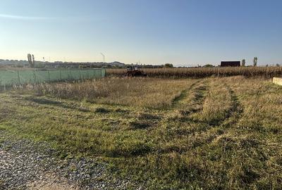 Spațiu comercial, în Tărlungeni