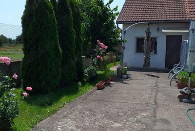 Vand casa caramida Vand casa caramida - 7