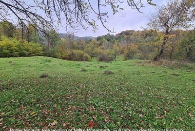 Casă cu Teren 14340 Mp în Breaza - 6