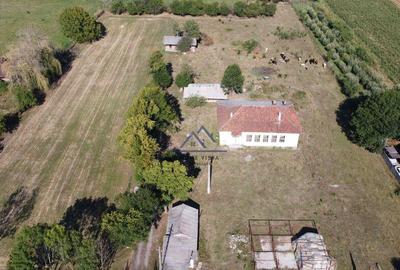 Teren intravilan de 10 614 mp cu deschidere de 59 m B... - 8