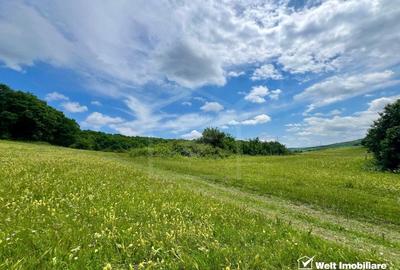 Oportunitate investitie, teren cu panorama pentru cabane - 3