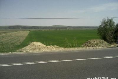 Teren de 15000 mp, în Dobreni - 3