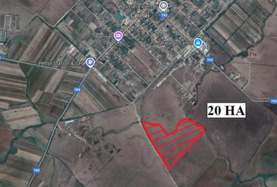 Teren 20 HA in Cermei - ID : RH-41484-property - 1