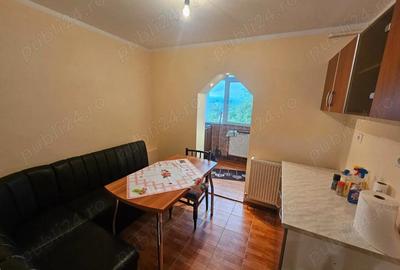 Apartament cu 2 camere semidecomandat în Central - 7