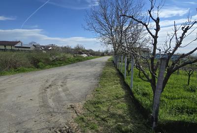 Teren Construcții intravilan de 1300 mp, în Curtișoara - 9