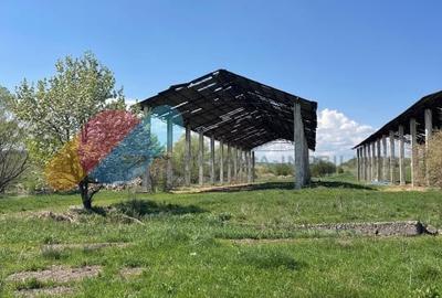 Teren Intravilan 16.000 Mp situat la DN-E81 Zalau-Cluj - 6