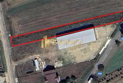 Teren de 1600 mp, în Mitocu Dragomirnei - 1