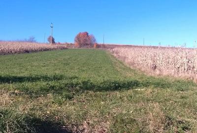Vand teren de casa, intravilan, utilitati la poarta - 6