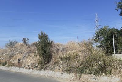 Teren pentru hale in zona Drumul intre Tarlale - 2