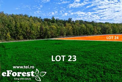 Teren Construcții intravilan de 720 mp, în Crevedia - 3