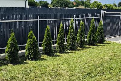 Casa de vanzare in Serbanesti, mobilata - gata de locuit Casa de vanzare in Serbanesti, mobilata - gata de locuit - 6