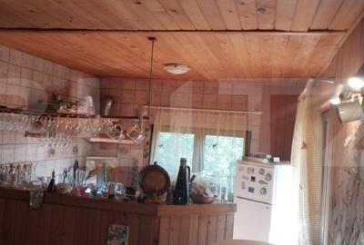 Casa/Vila, 110mp/5286mp teren , zona Pucioasa - 13