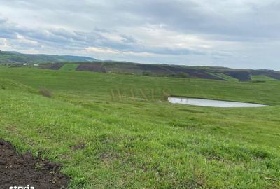 Teren de 10200 mp, în Budești