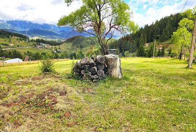 Teren de vis in Fundata 1934mp sau 3868mp, la inal?im... - 5