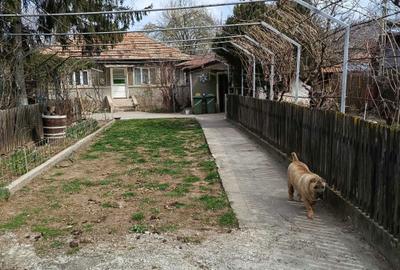 Casă în Pleșcoi - 2