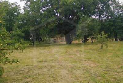 Casa individuala in Sancraiu (CJ), 4 camere, 160mp utili, 3400mp teren - 21