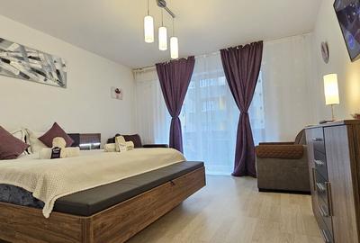 Garsonieră în Bartolomeu - 14