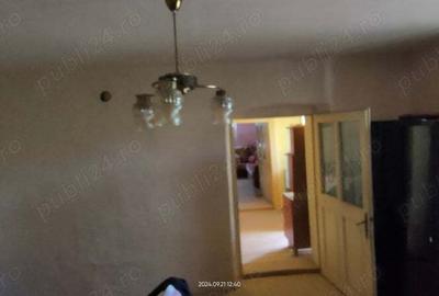 Casă cu 4 camere cu Teren 3000 Mp în Alioș - 4