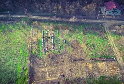 Teren agricol extravilan de 1422 mp, în Victoria - 4